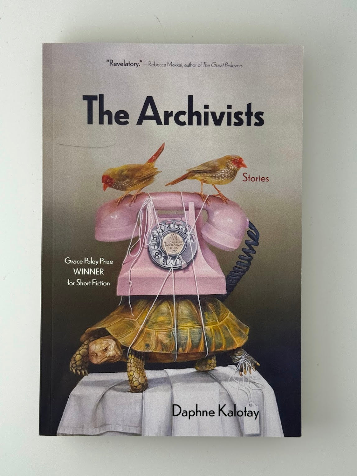 The Archivists by Daphne Kalotay