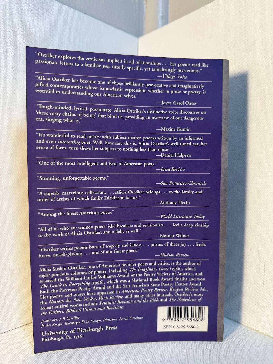 The Little Space by Alicia Suskin Ostriker