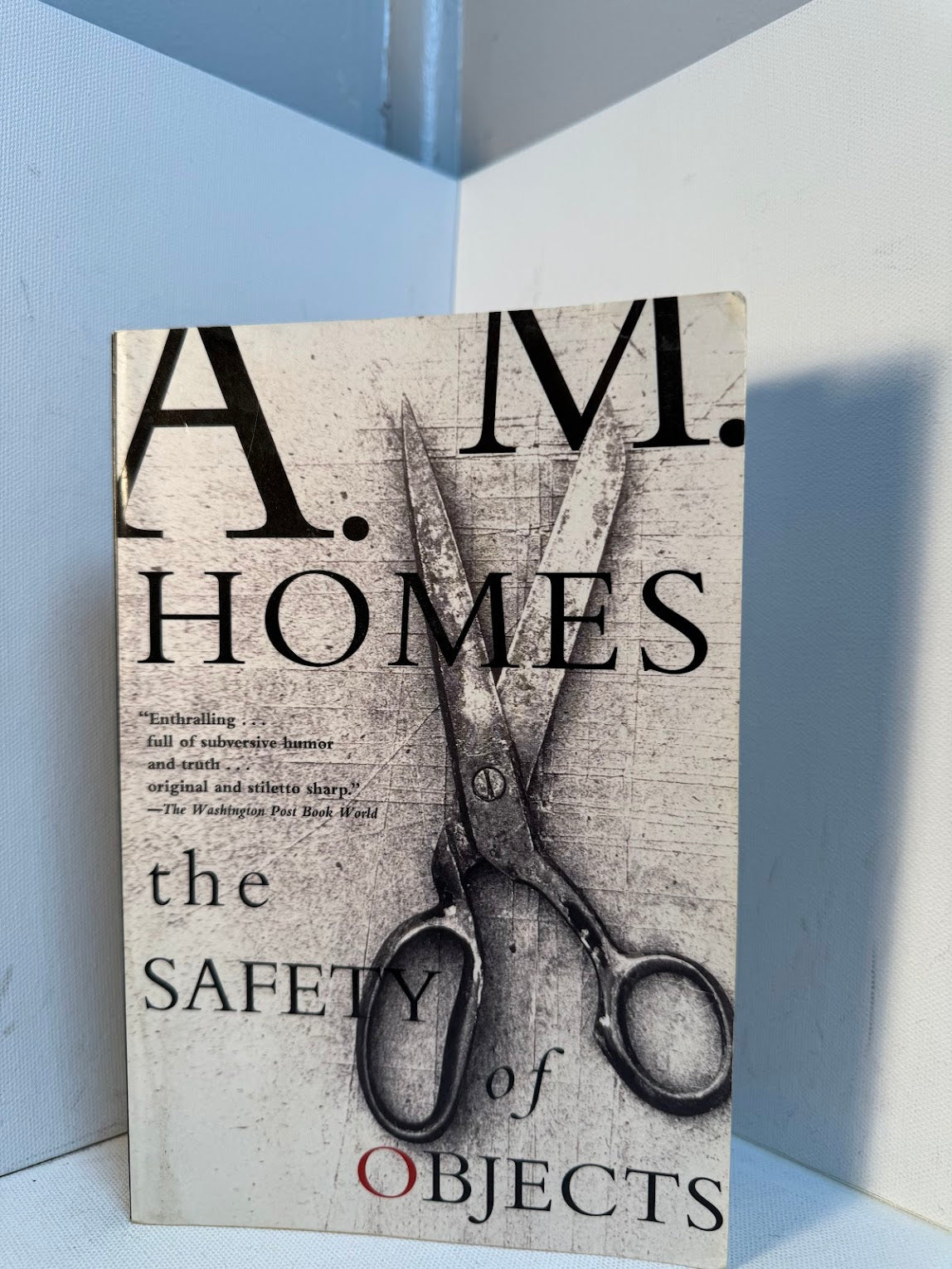 The Safety of Objects by A.M. Homes