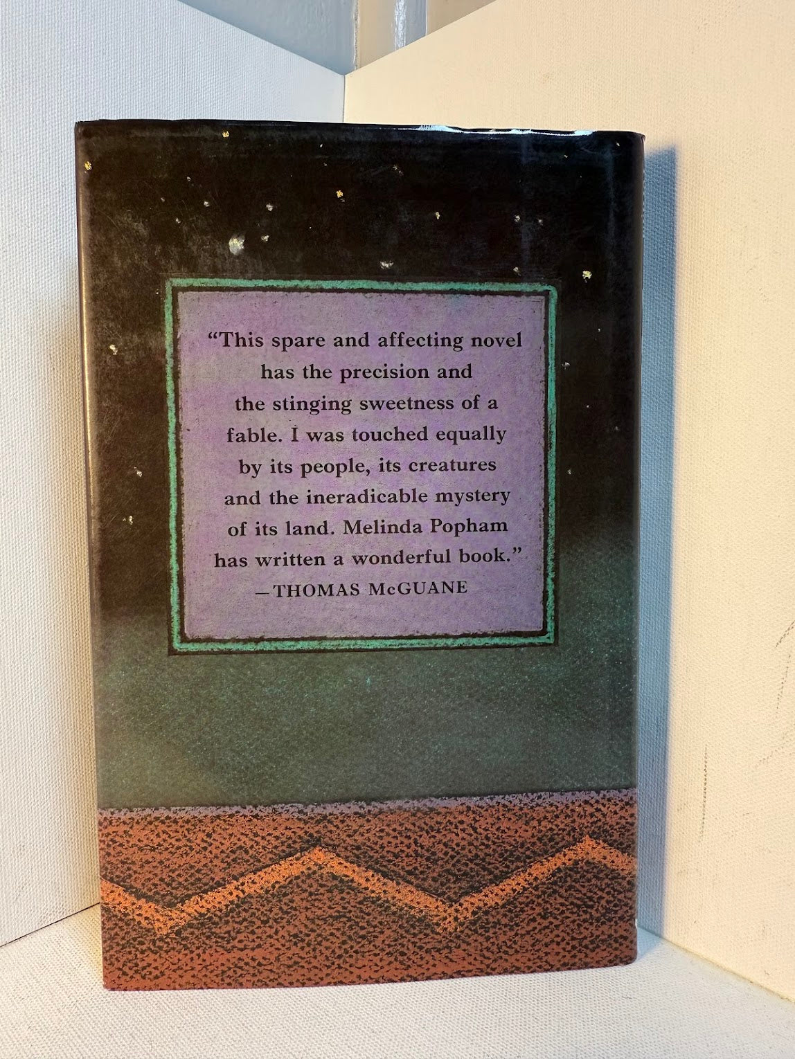 Skywater by Melinda Worth Popham