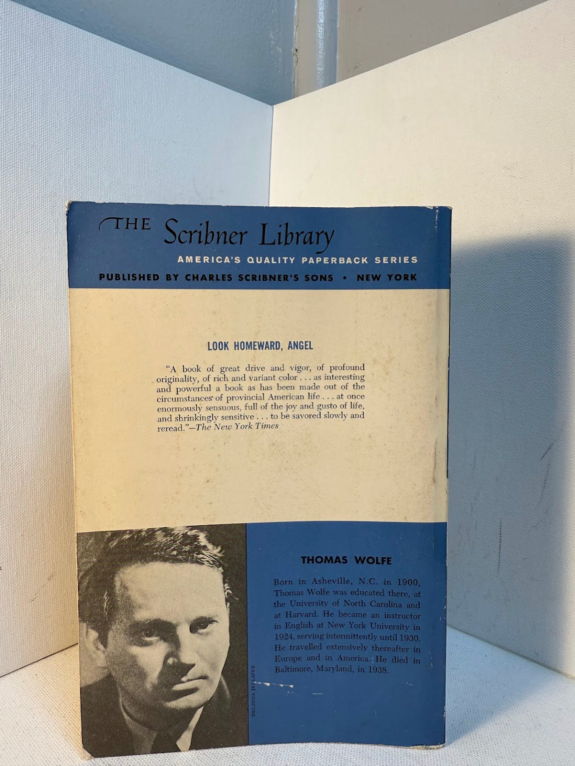 Look Homeward, Angel by Thomas Wolfe