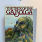 The Trick of the Gabolga by Patrick McGinley