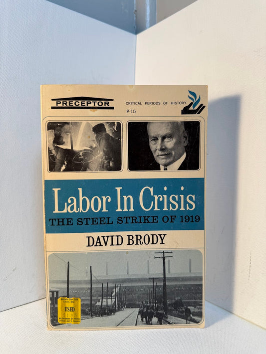 Labor in Crisis - The Steel Strike of 1919 by David Brody