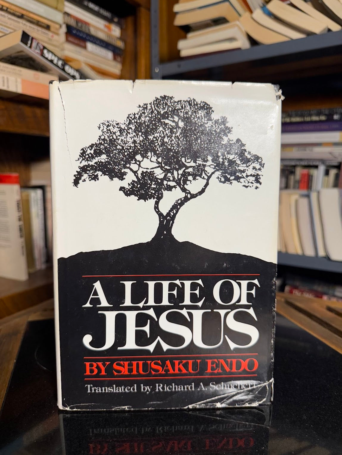 A Life of Jesus by Shusaku Endo