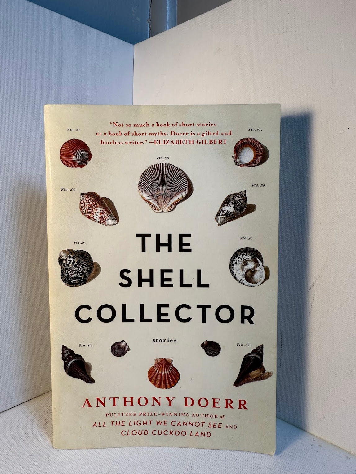 The Shell Collector by Anthony Doerr