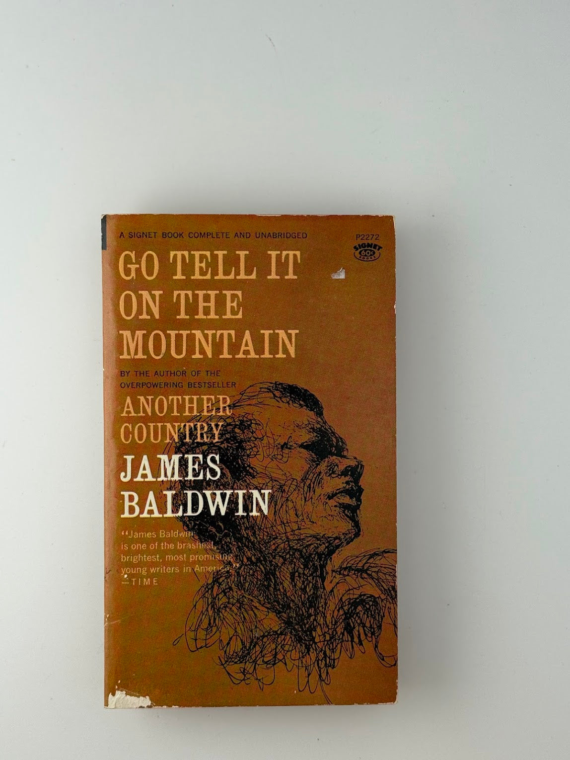 Go Tell It On The Mountain by James Baldwin