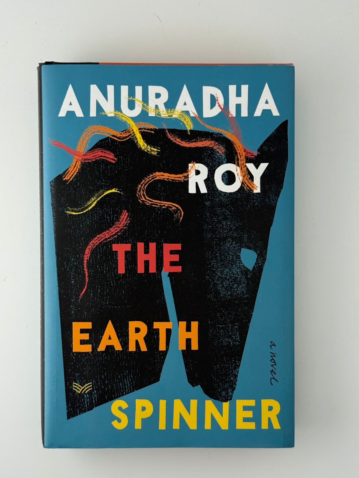 The Earth Spinner by Anuradha Roy