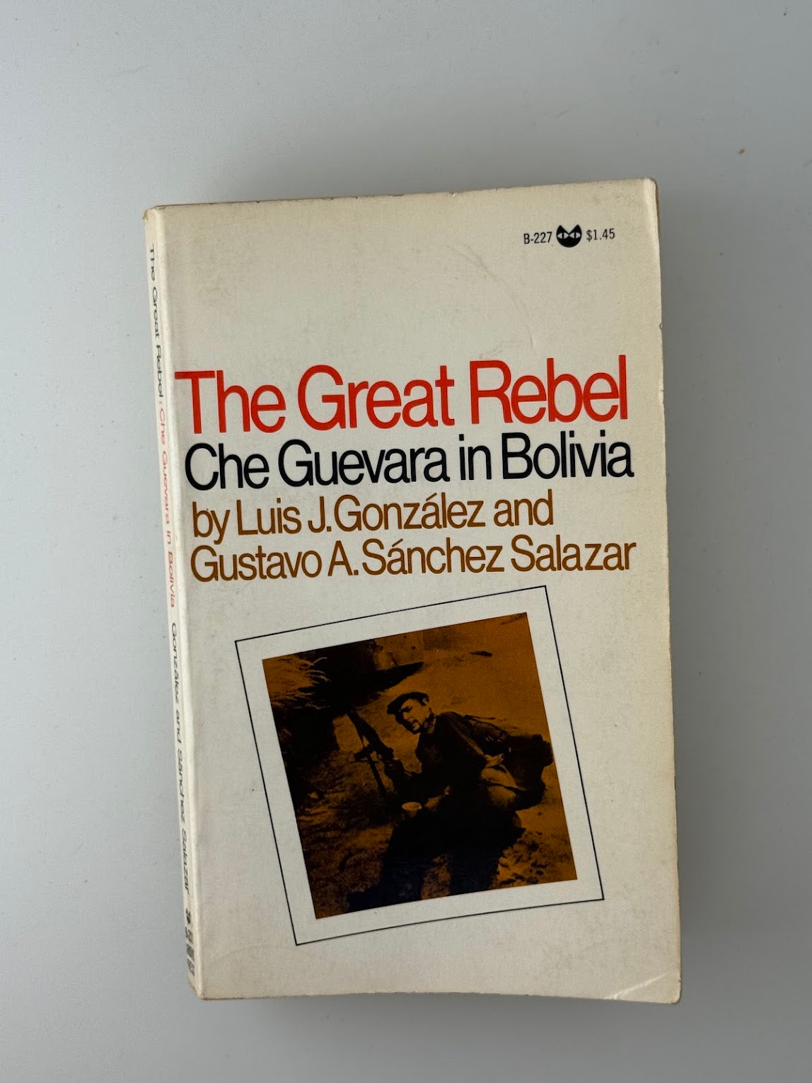 The Great Rebel by Luis Gonzalez and Gustavo Sanchez Salazar