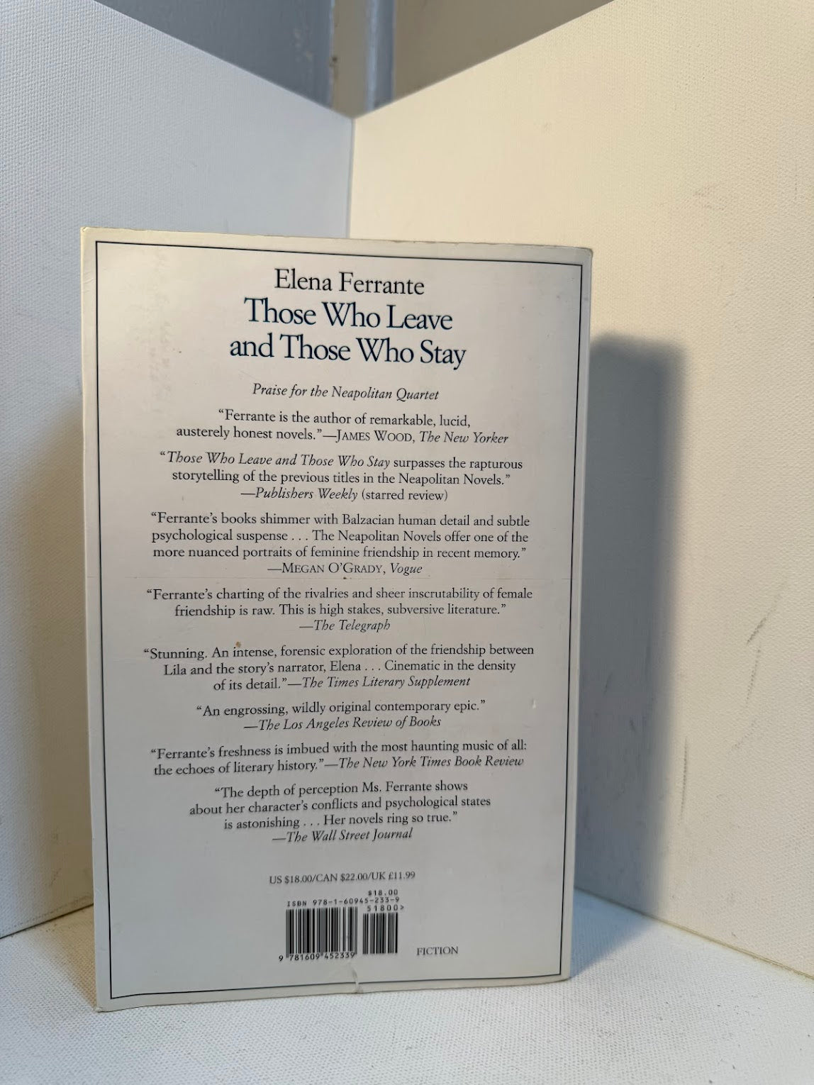 Those Who Leave and Those Who Stay by Elena Ferrante