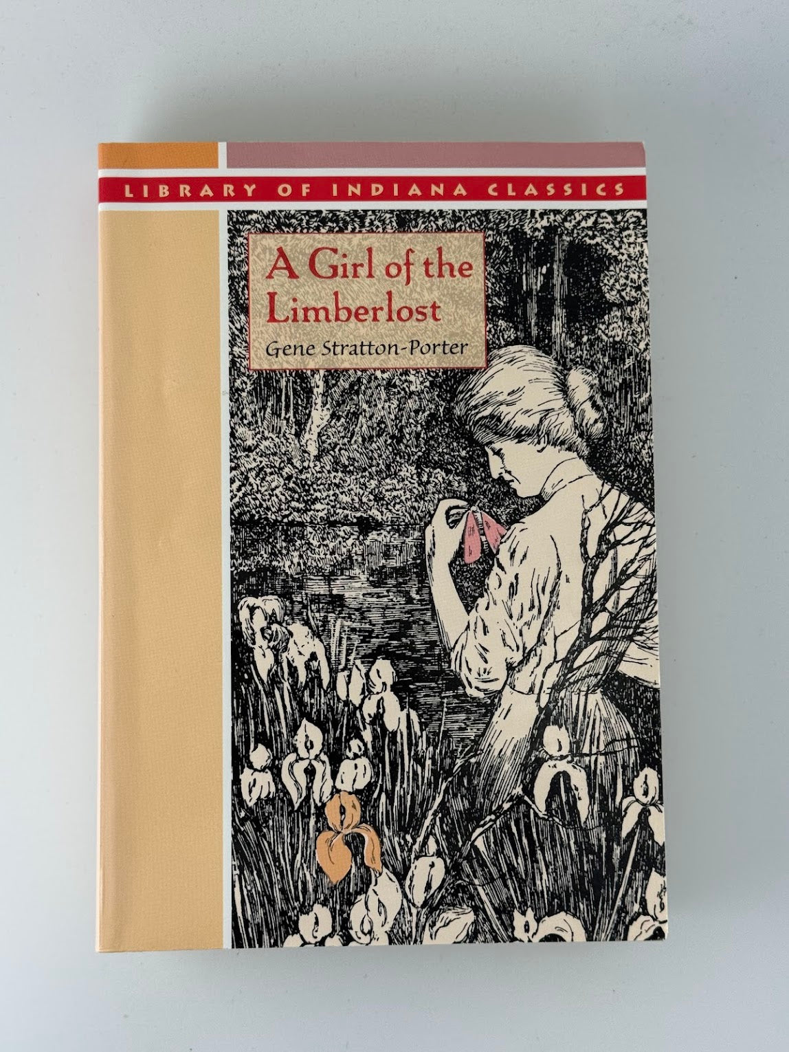 A Girl of the Limberlost by Gene Stratton Porter