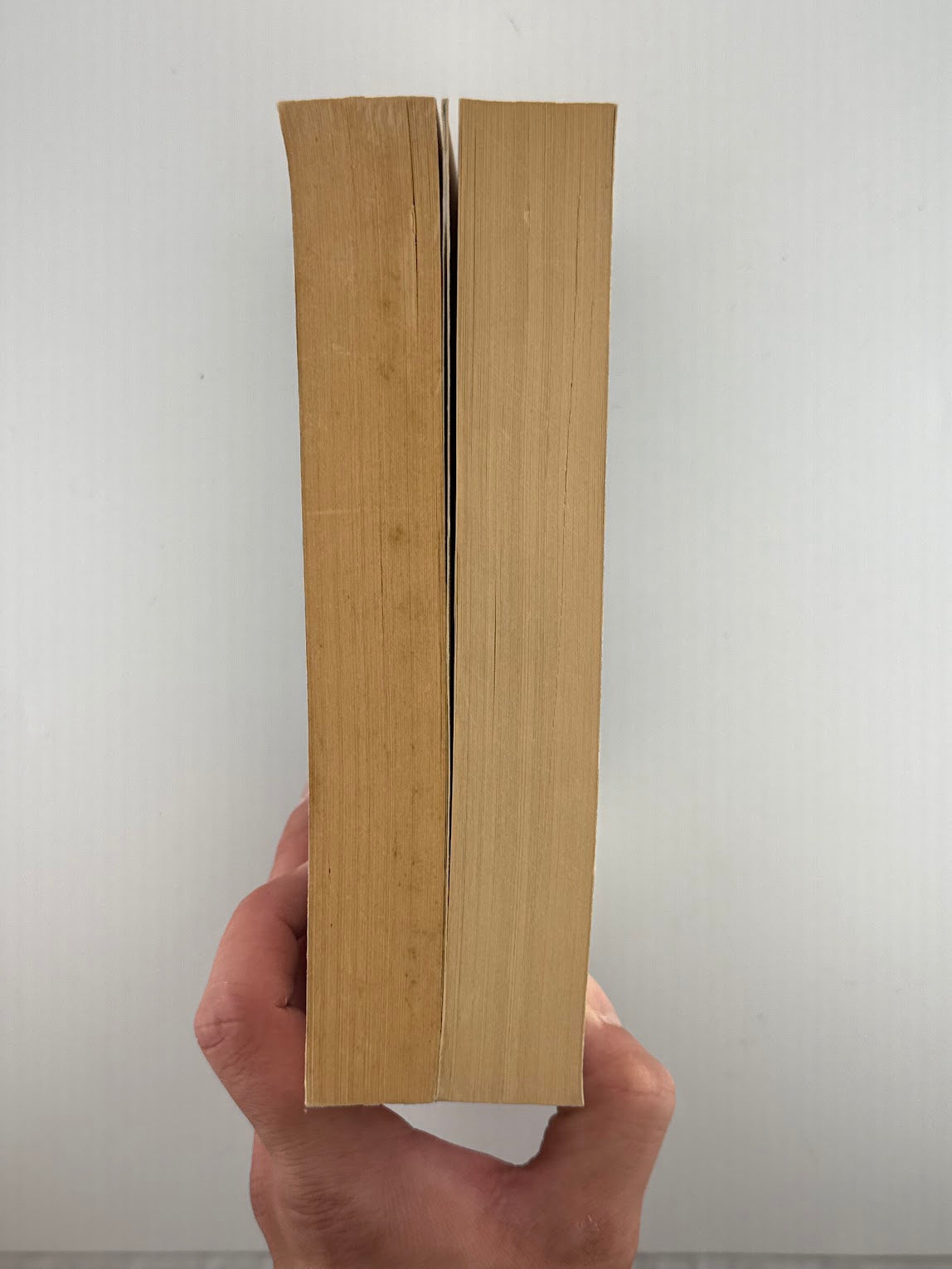 The Man Without Qualities Volume One and Two by Robert Musil