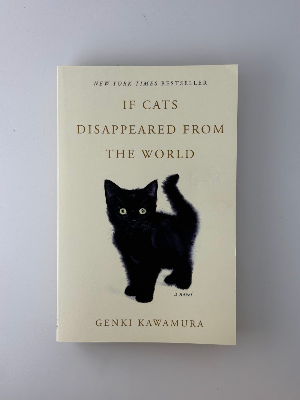 If Cats Disappeared from the World by Genki Kawamura