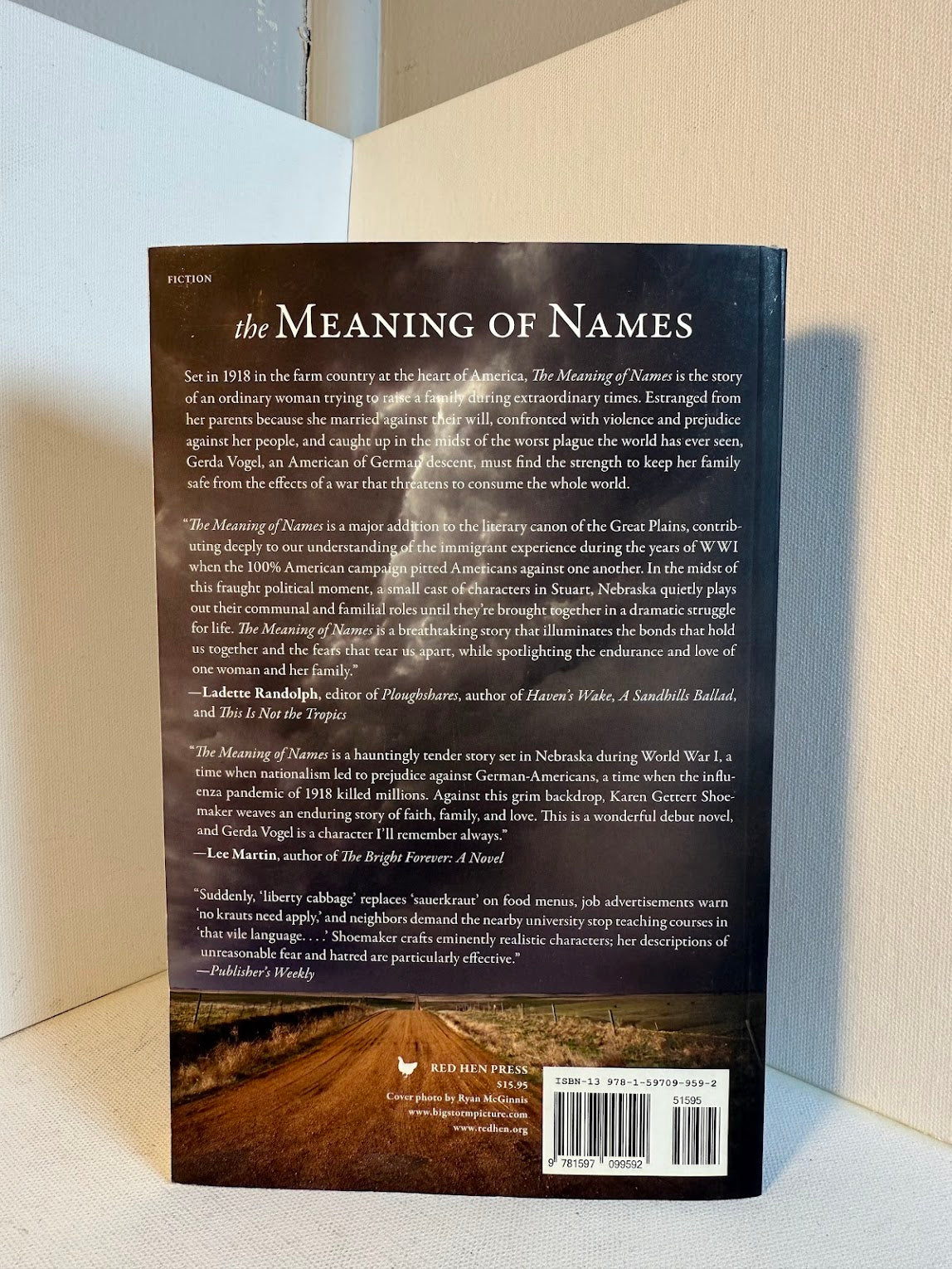 The Meaning of Names by Karen Gettert Shoemaker