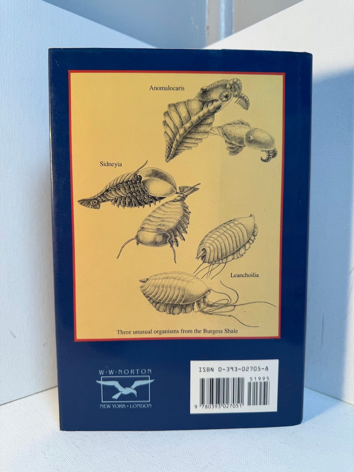 Wonderful Life by Stephen Jay Gould
