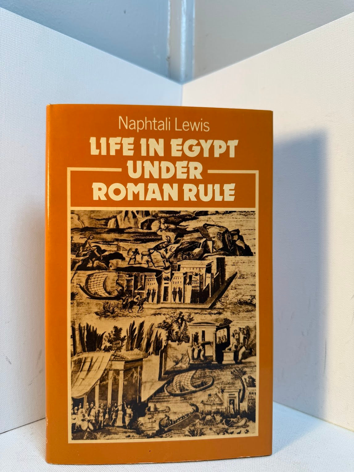 Life in Egypt Under Roman Rule by Naphtali Lewis