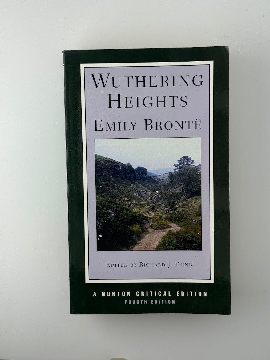 Withering Heights by Emily Bronte