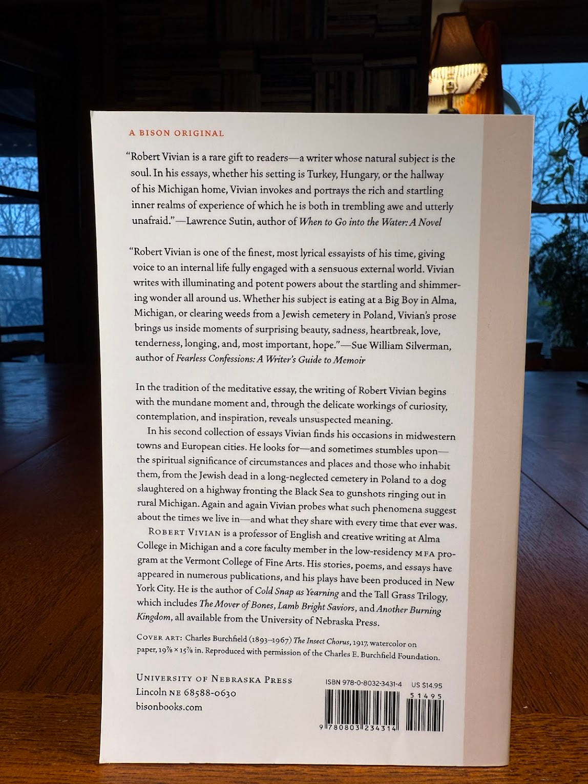 The Least Cricket of Evening by Robert Vivian