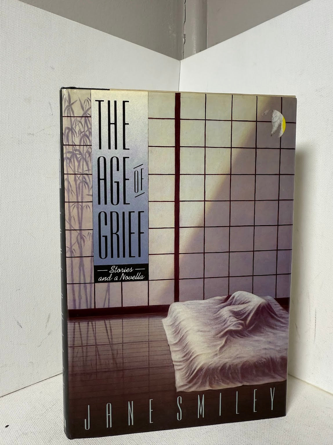 The Age of Grief by Jane Smiley