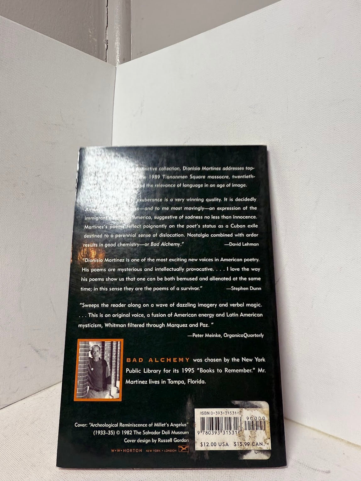 Bad Alchemy by Dionisio Martinez