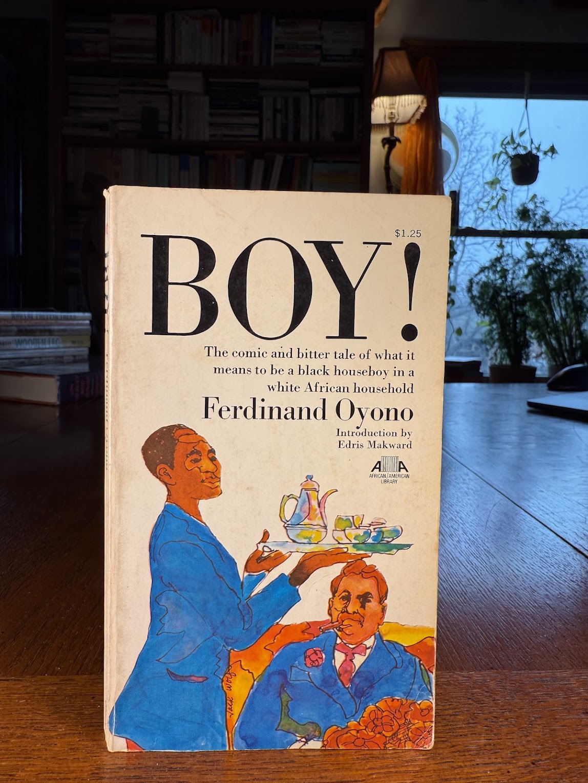Boy! by Ferdinand Oyono