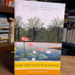 Lime Tree Can't Bear Orange by Amanda Smyth