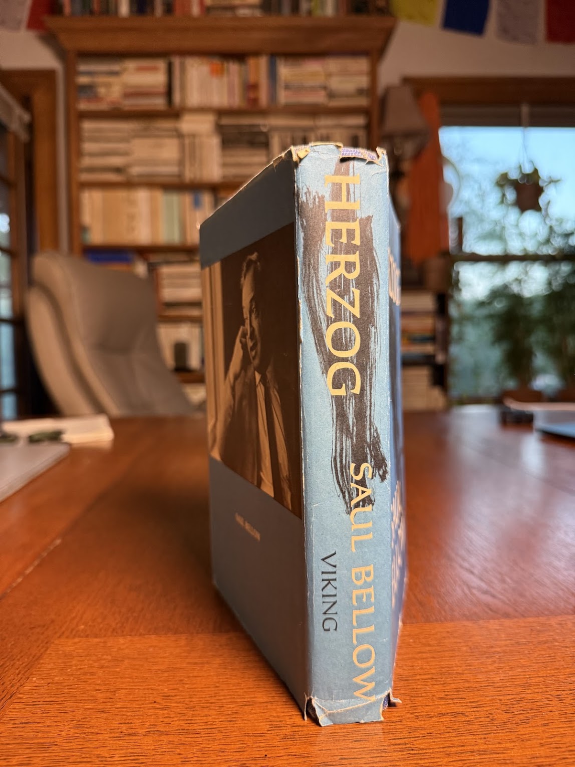 Herzog by Saul Bellow