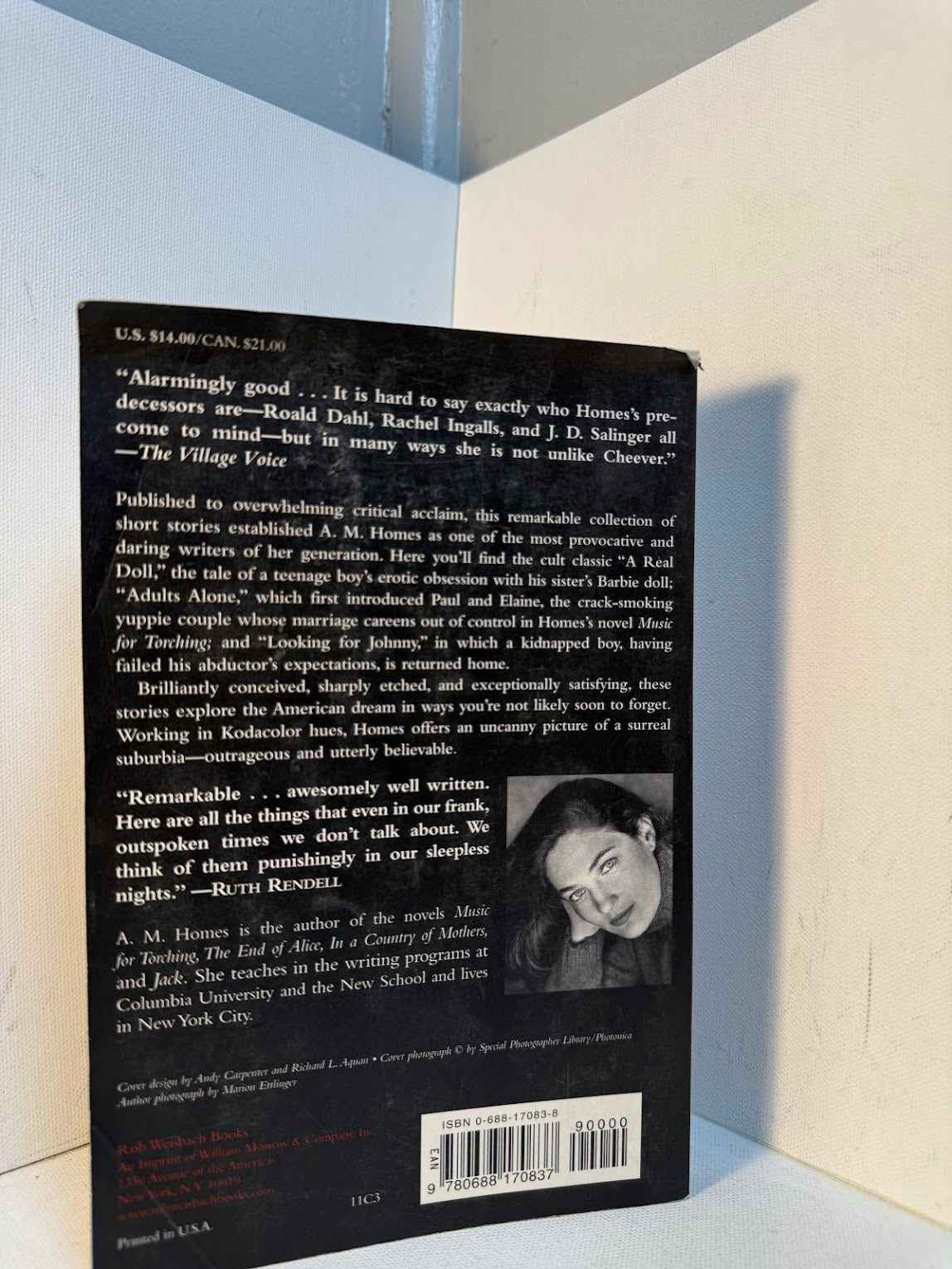 The Safety of Objects by A.M. Homes