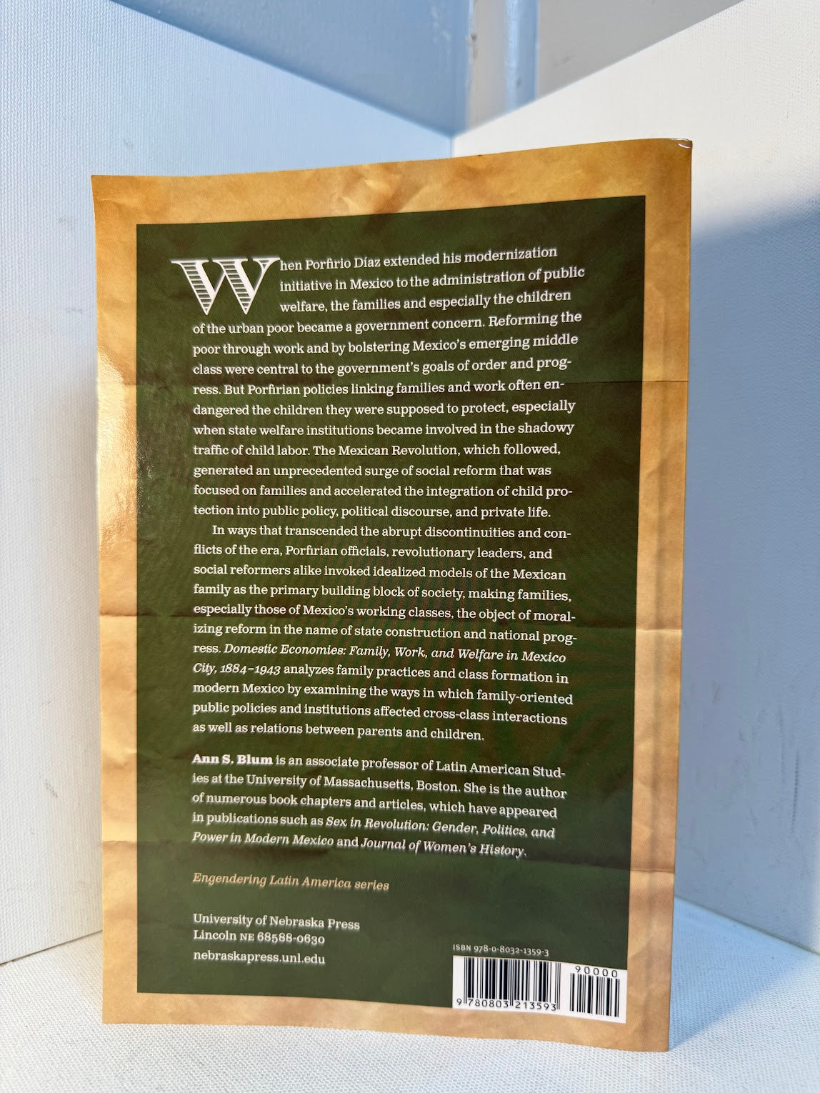 Domestic Economies - Family, Work and Welfare in Mexico City 1884-1943 by Ann S. Blum