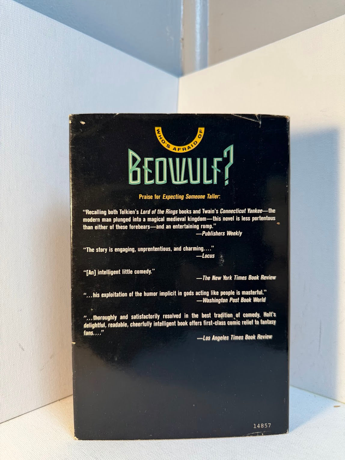 Who's Afraid of Beowulf? by Tom Holt