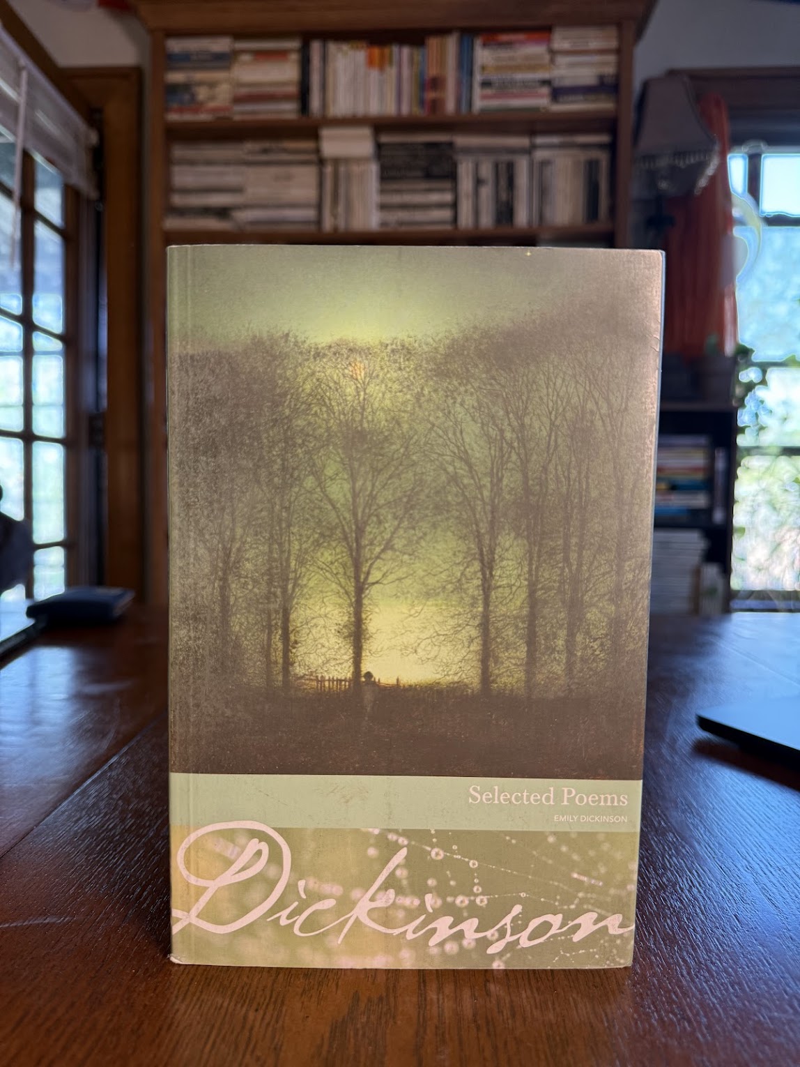 Selected Poems by Emily Dickinson