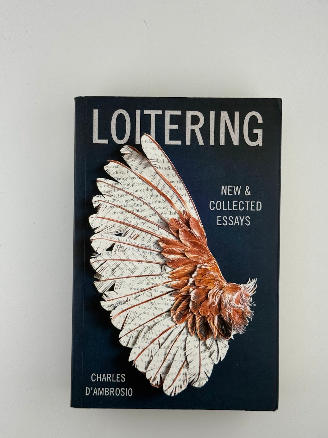 Loitering by Charles D'Ambrosio