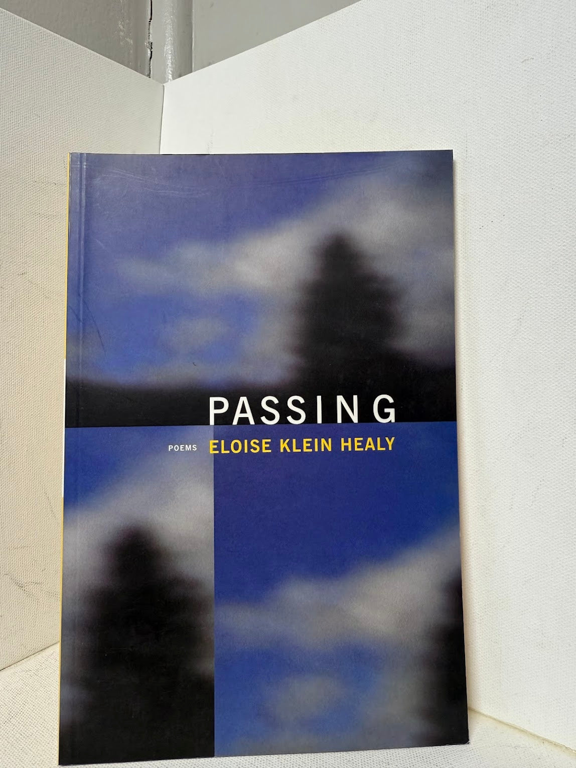 Passing by Eloise Klein Healy