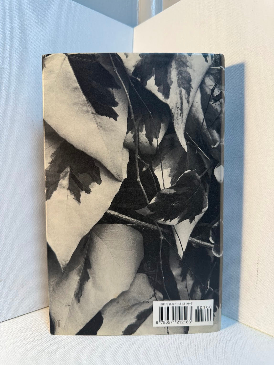 That They May Face The Rising Sun by John McGahern