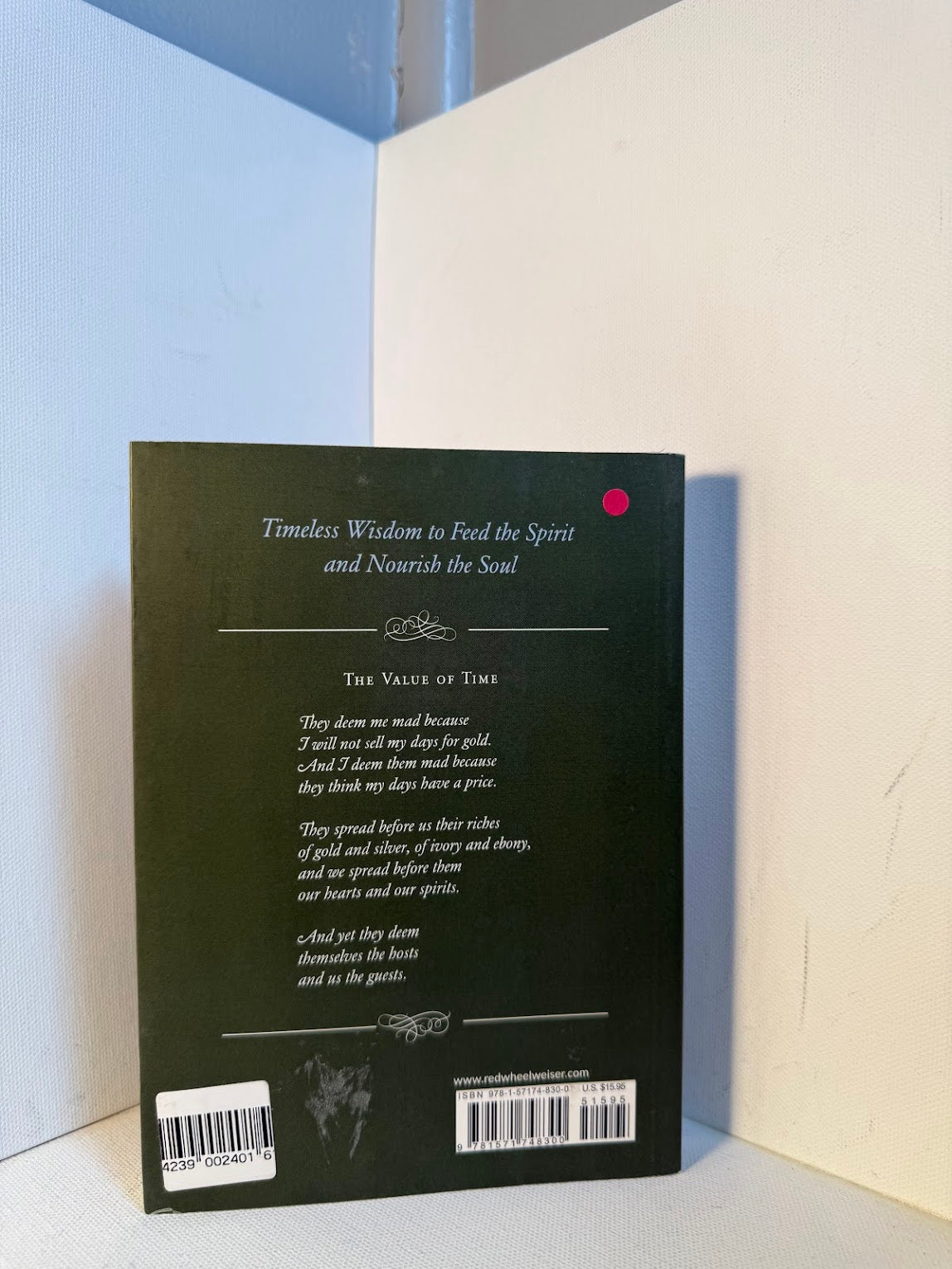 Kahlil Gibran's Little Book of Life by Neil Douglas-Klotz