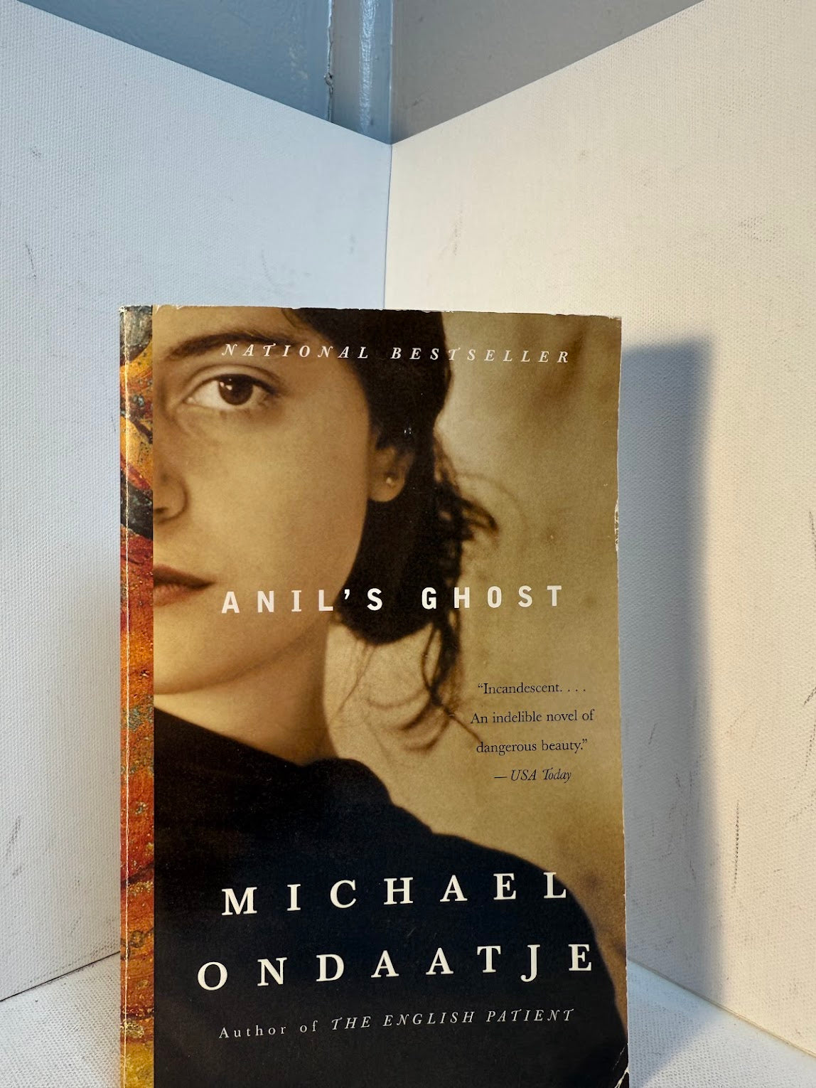 Anil's Ghost by Michael Ondaatje