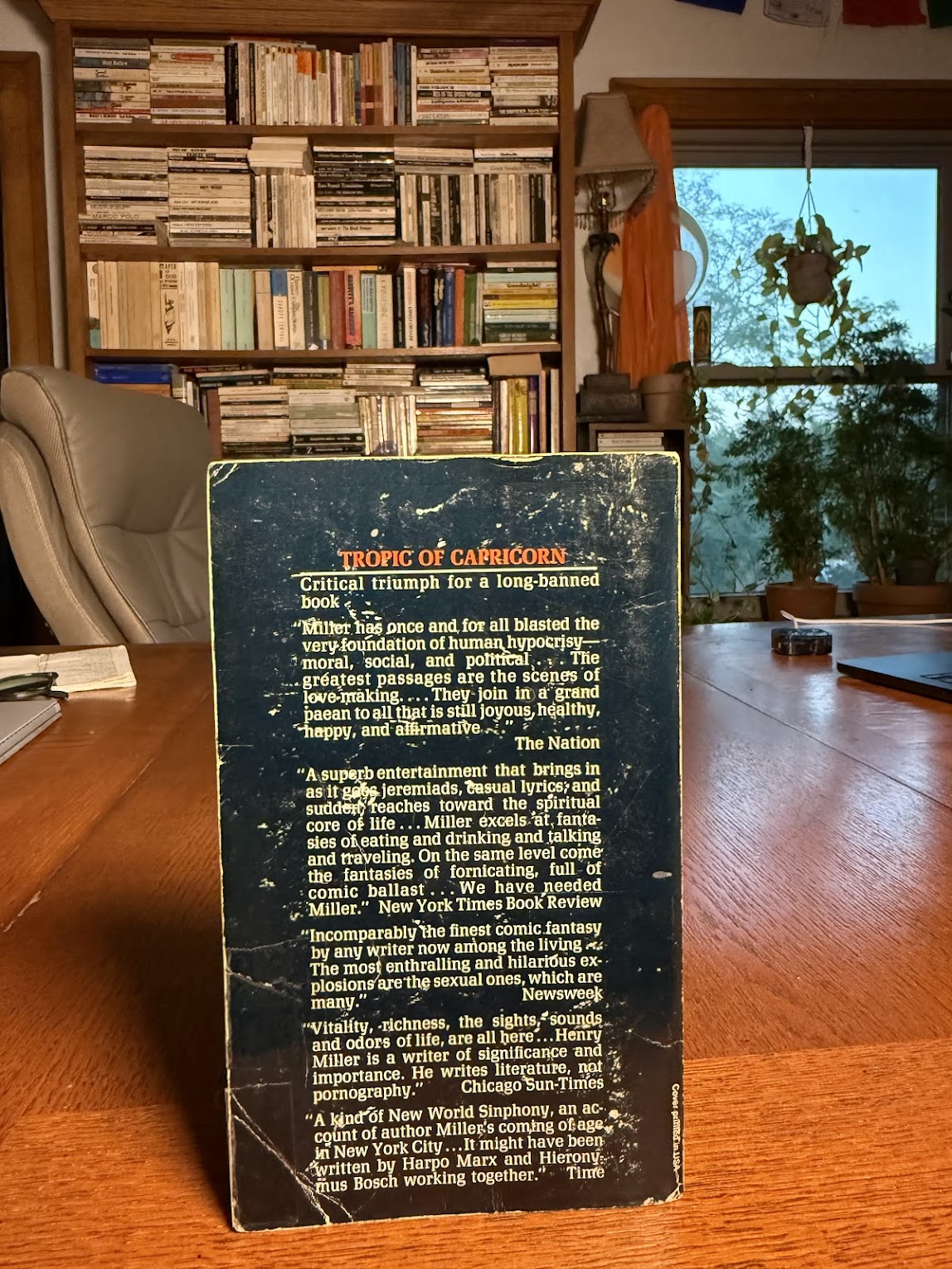 Tropic of Capricorn by Henry Miller