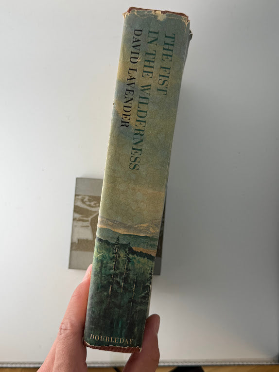 The First in the Wilderness by David Lavender