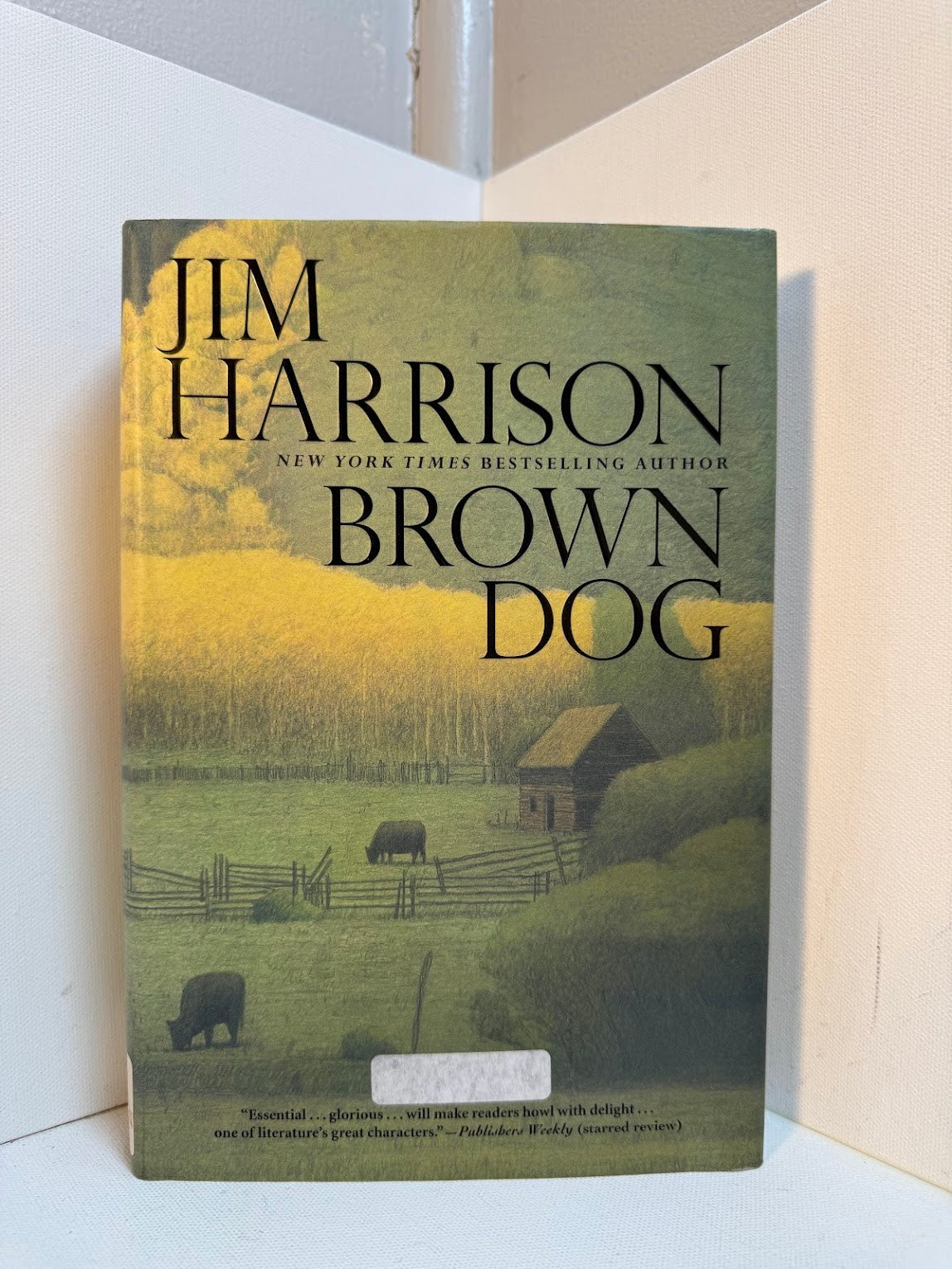 Brown Dog by Jim Harrison