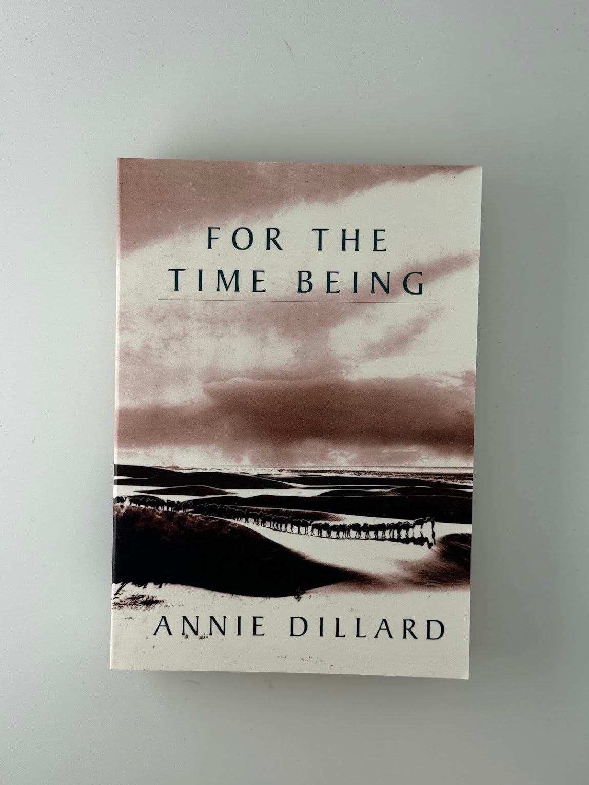For the Time Being by Annie Dillard