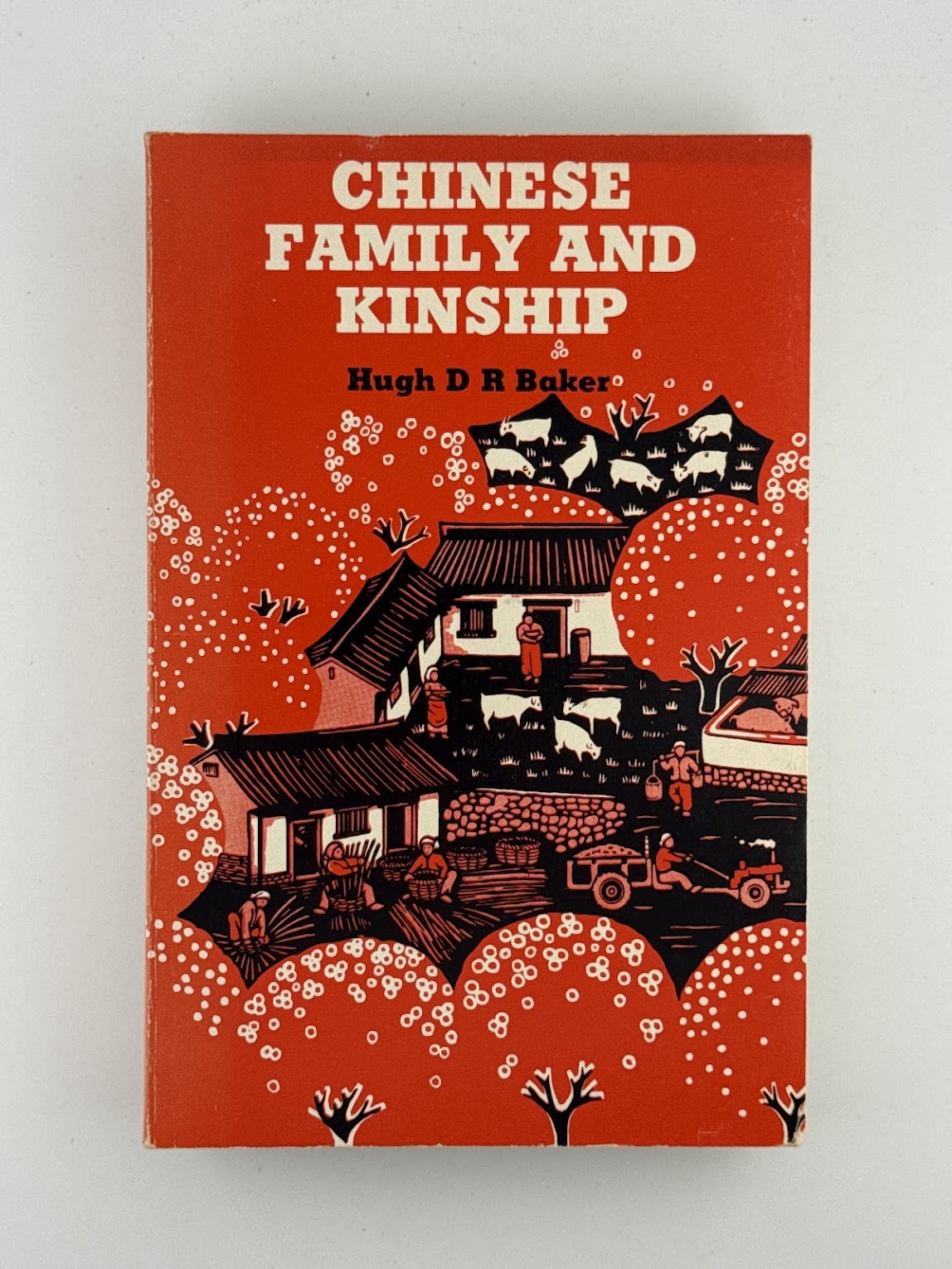 Chinese Family and Kinship by Hugh D R Baker