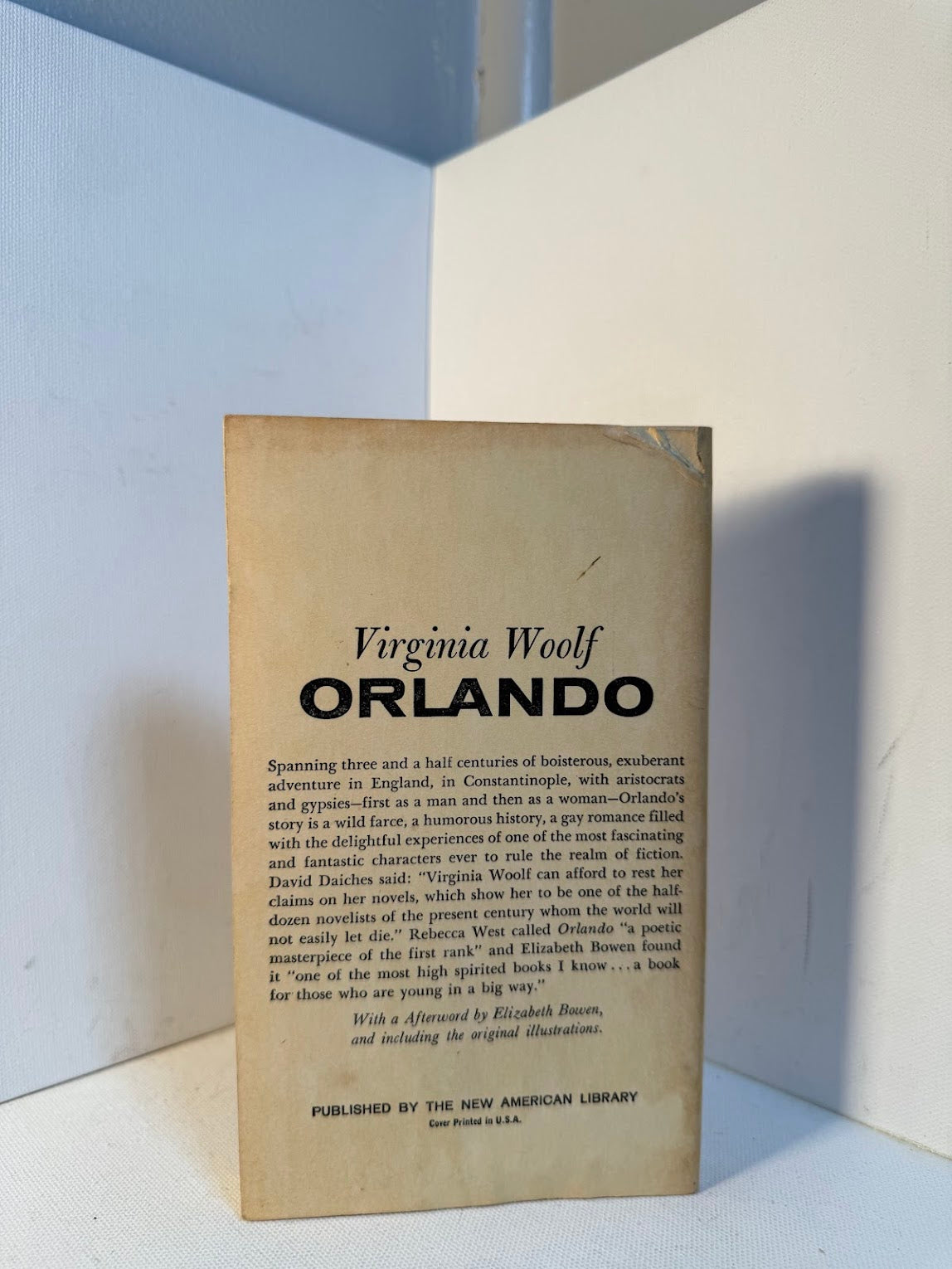 Orlando by Virginia Woolf
