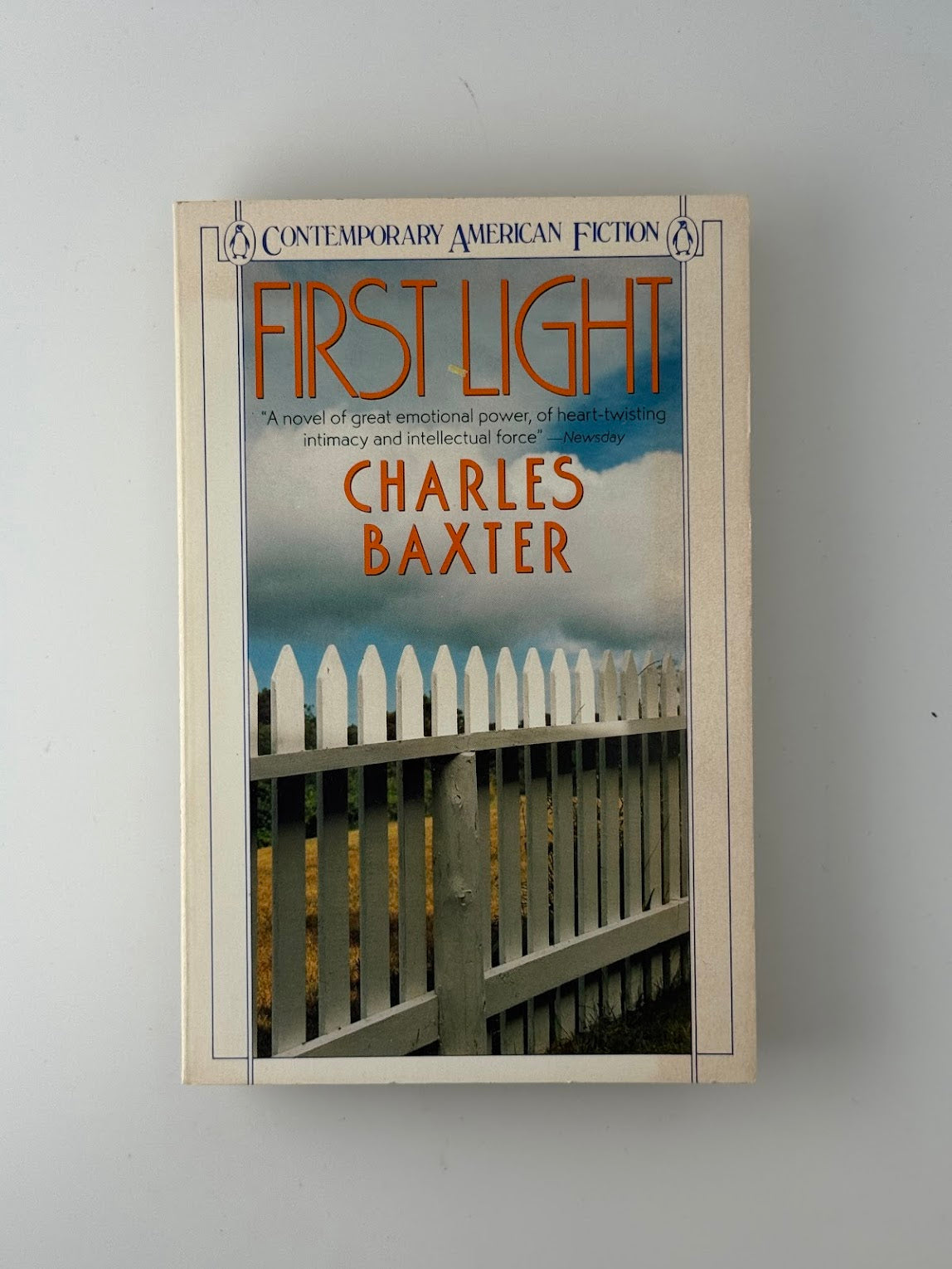 First Light by Charles Baxter g