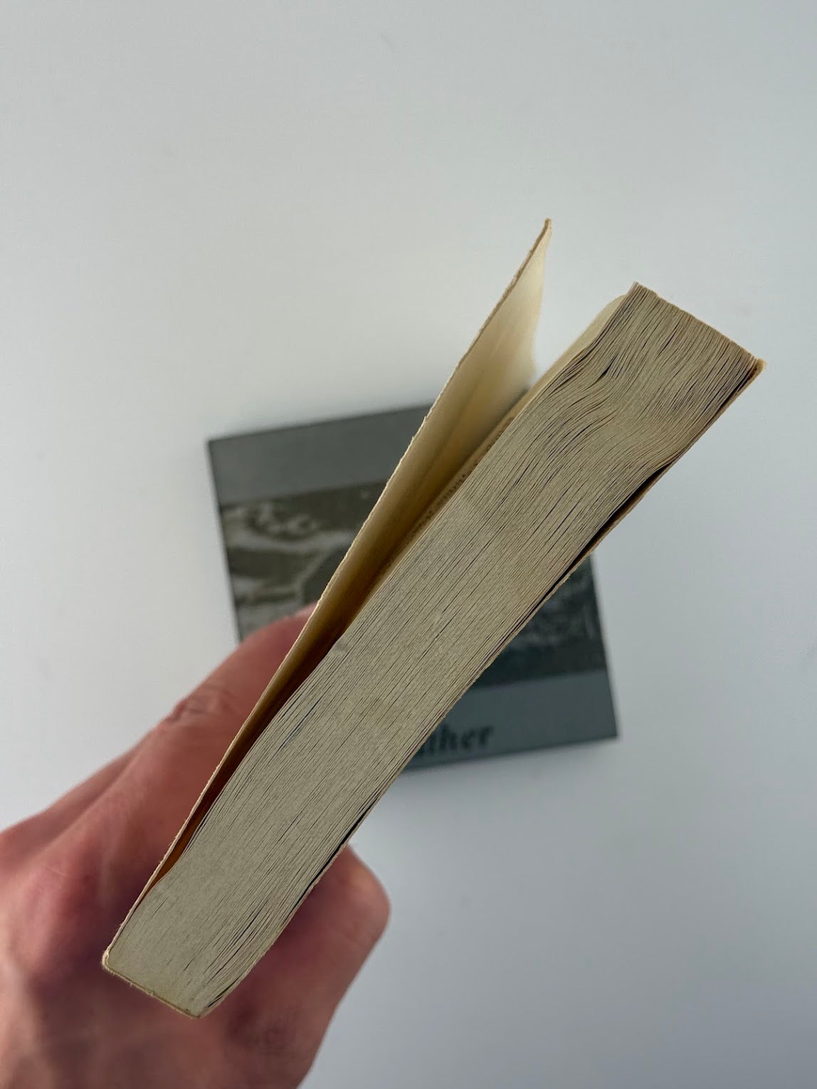 James Joyce by Harry Levin