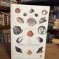 [Signed/Inscribed] The Shell Collector by Anthony Doerr