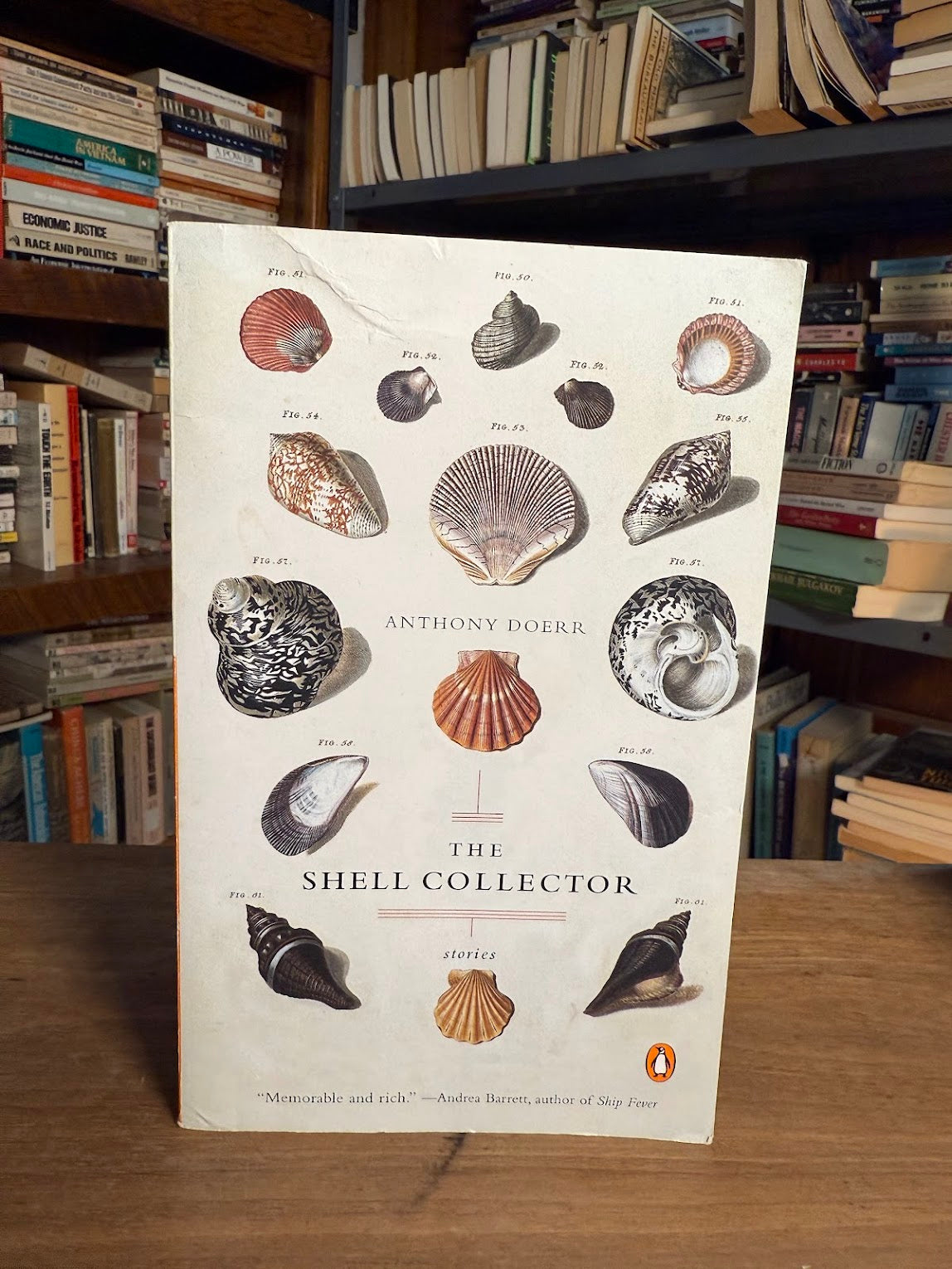 [Signed/Inscribed] The Shell Collector by Anthony Doerr