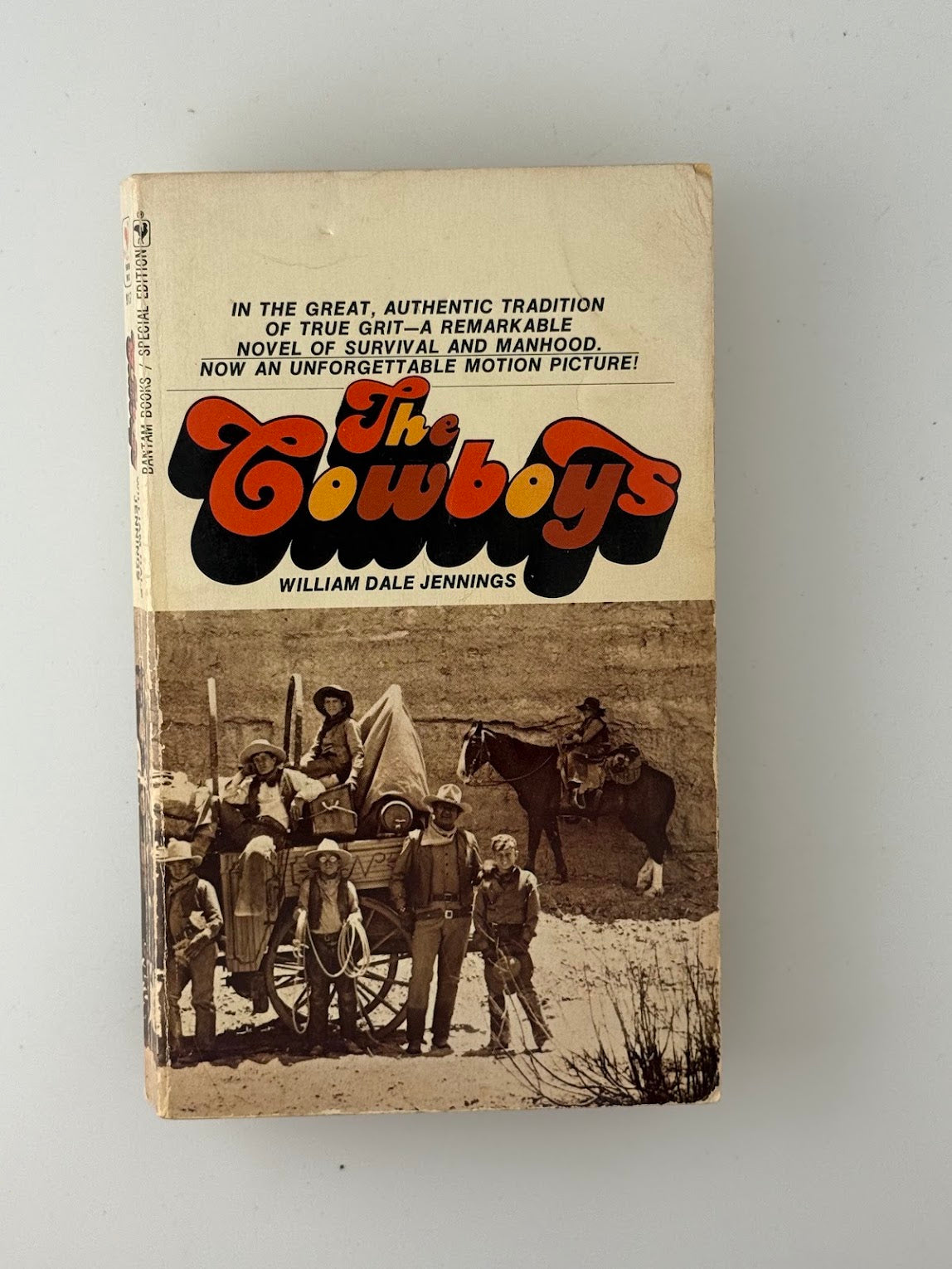 The Cowboys by William Dale Jennings