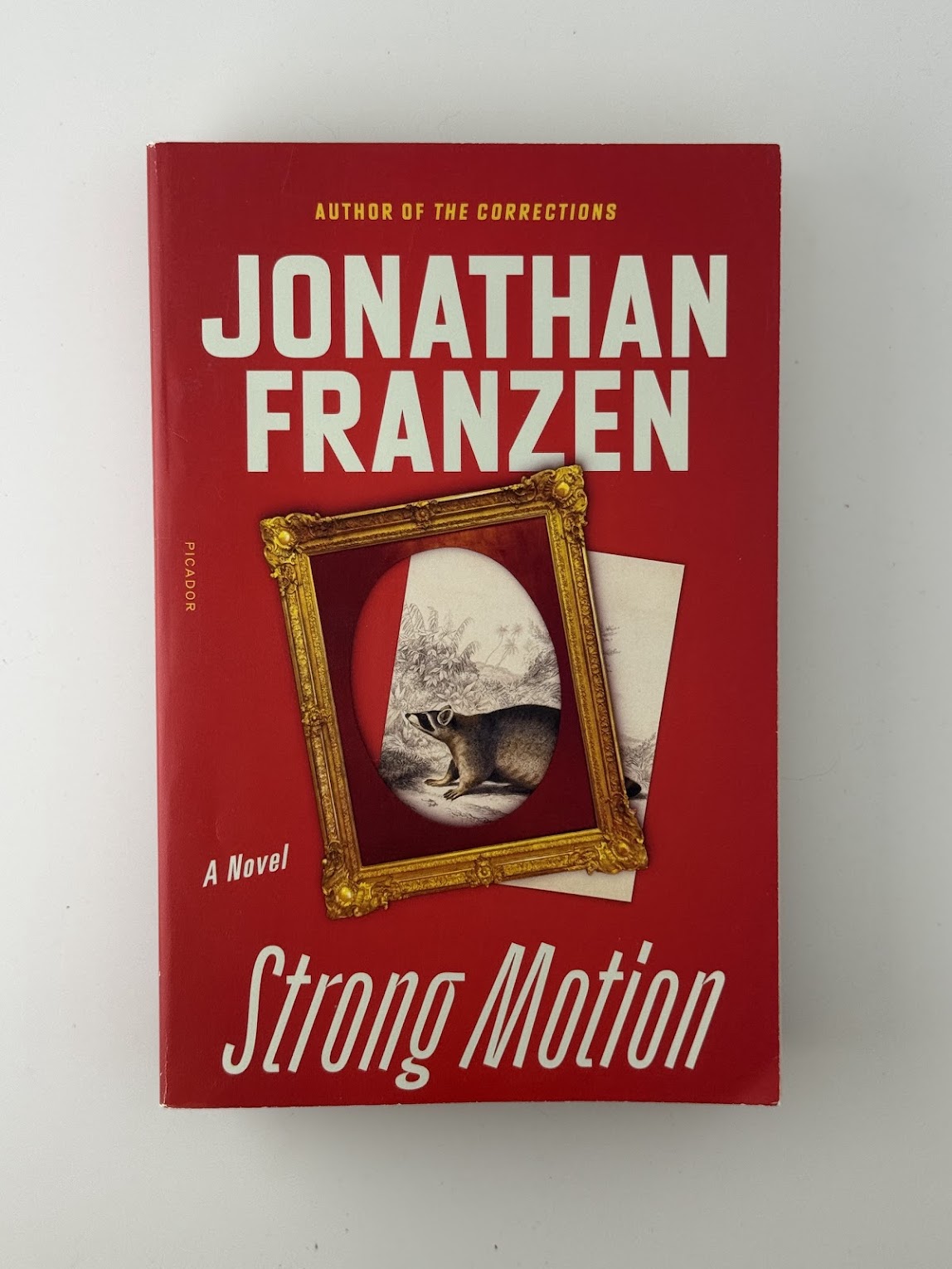 Strong Motion by Jonathan Franzen