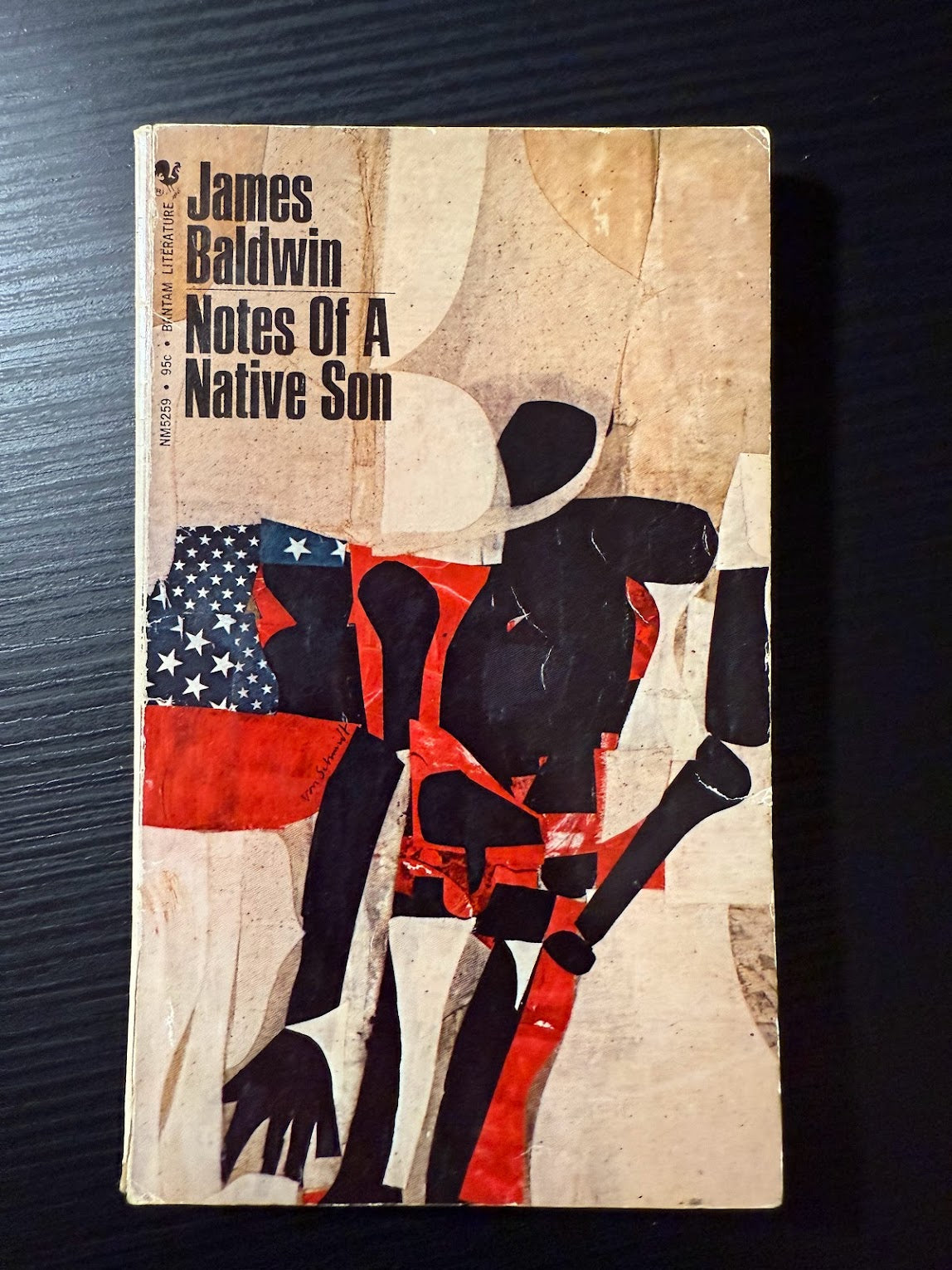 Notes of a Native Son by James Baldwin