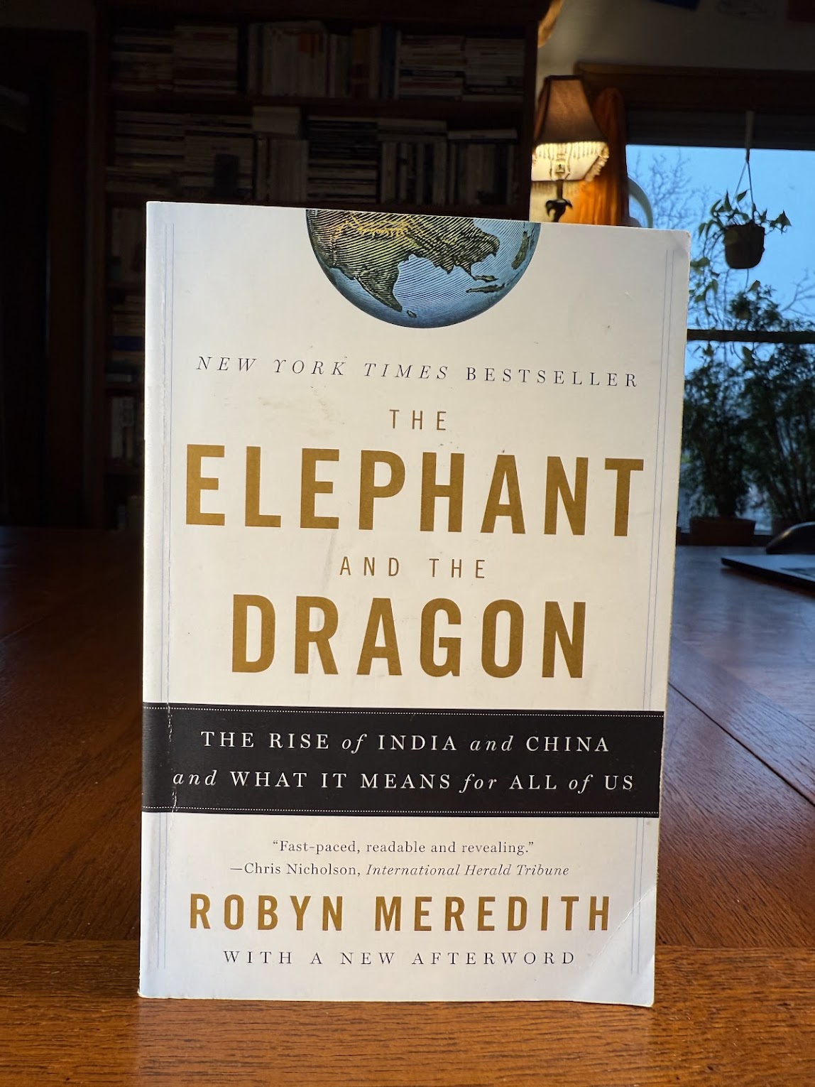 The Elephant and the Dragon by Robyn Meredith