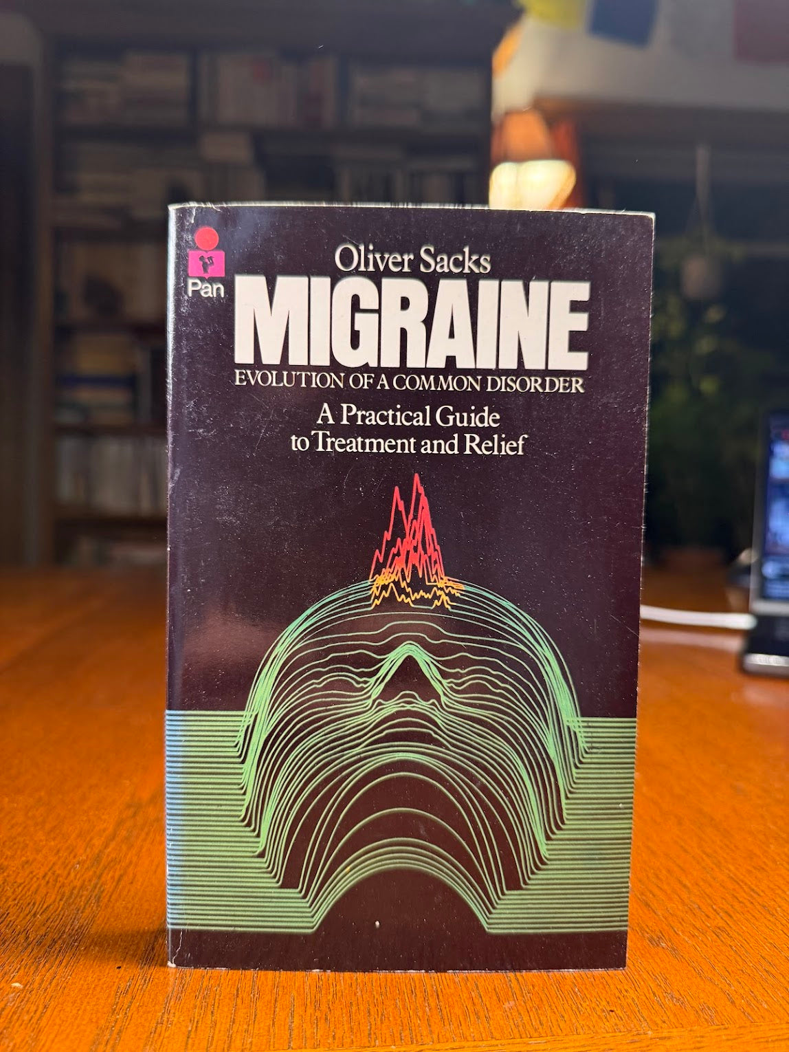 Migraine by Oliver Sacks